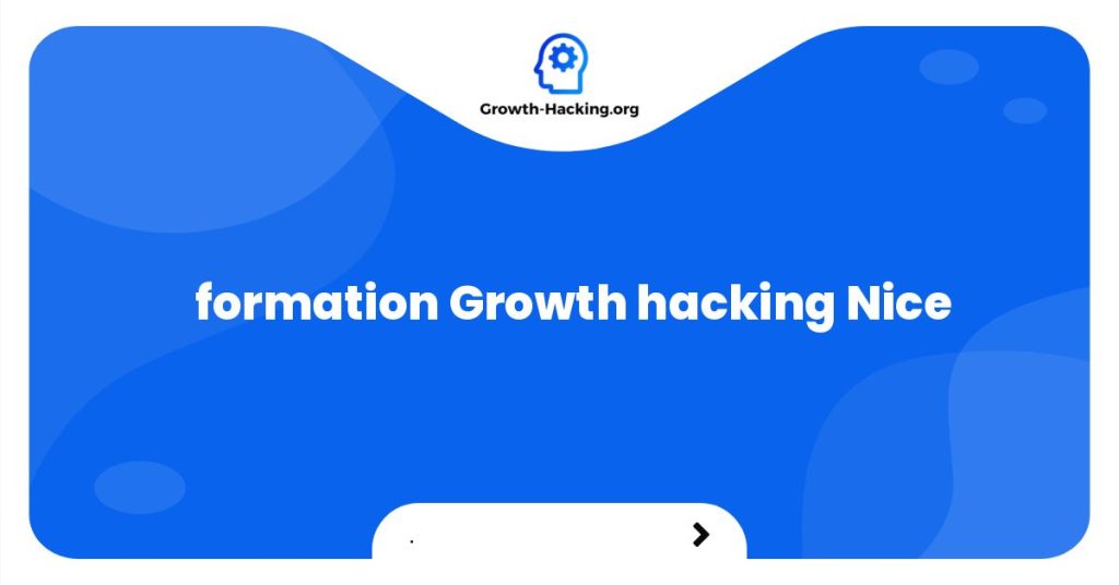 formation Growth hacking Nice