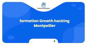 formation Growth hacking Montpellier