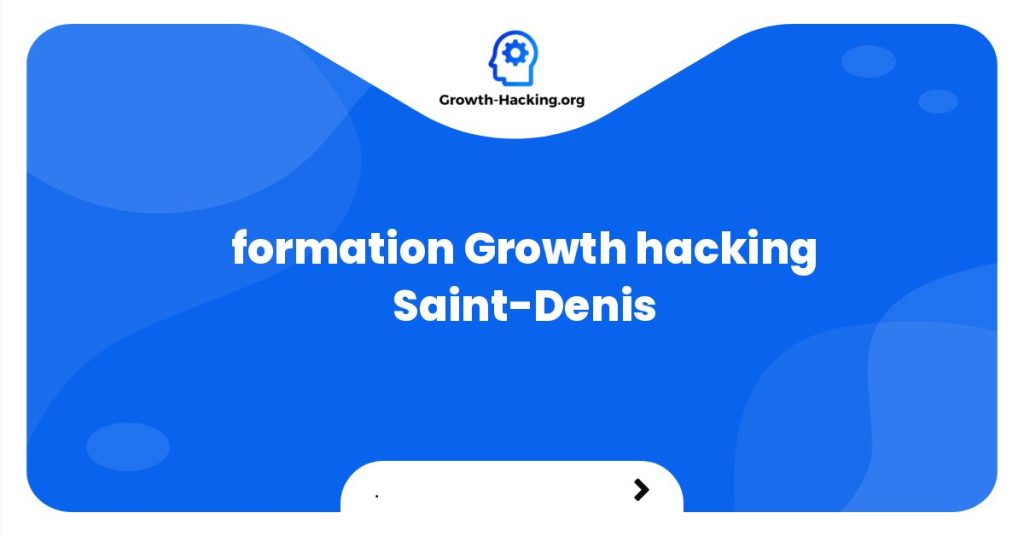 formation Growth hacking Saint-Denis